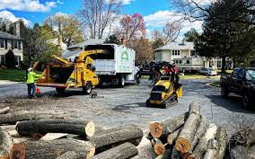 Lawn Drainage Solutions in Byng, OK