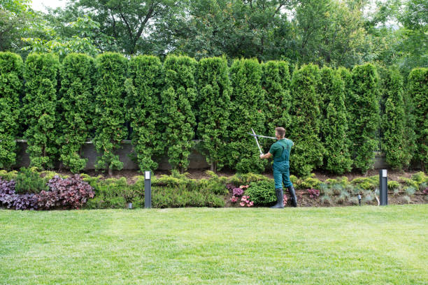 Best Aeration Services  in Byng, OK
