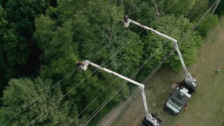 Best Storm Damage Tree Cleanup  in Byng, OK